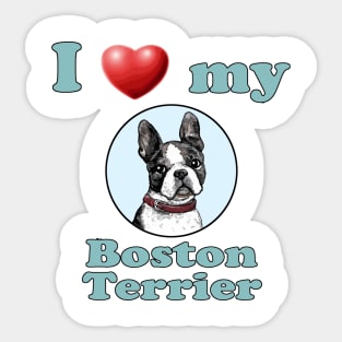 I Love My Boston Terrier Sticker